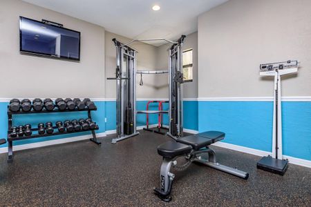 Community gym at Avana Coachman
