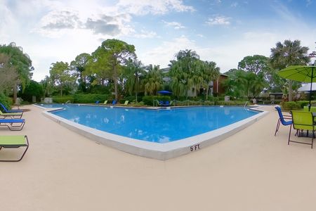Pool area at our apartments in Clearwater, FL, featuring reclining chairs, palm trees, and a long pool.