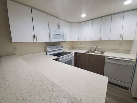 Kitchen with Granite Countertops with Modern, White Plywood Cabinetry with Self-Closing Hinges*