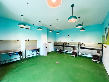 Pet Spa with Dog Washing Station, Dryers, and Grooming Area
