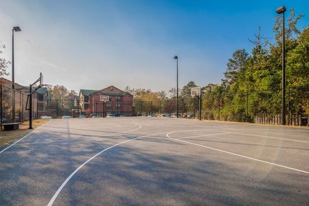 Community Basketball Court | The Lodge of  Athens | Best Apartments In Athens, GA