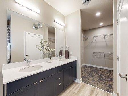 Bathroom Off Primary Bedroom | Linc at Grays Station | Apartments in Des Moines, Iowa