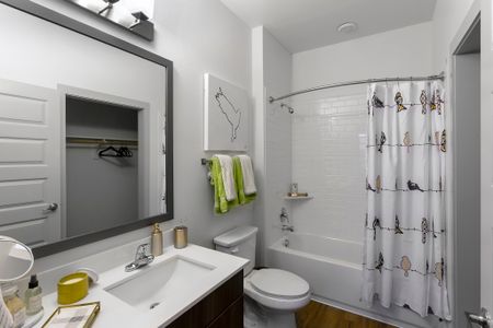 Spacious Bathroom | College Station TX Apartment For Rent | The Hudson