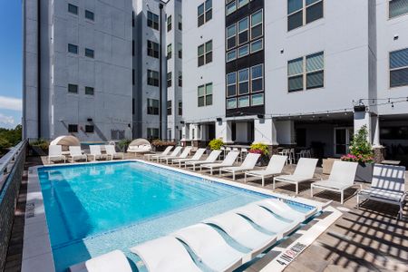 Swimming Pool | Apartment Homes in College Station, TX | The Hudson