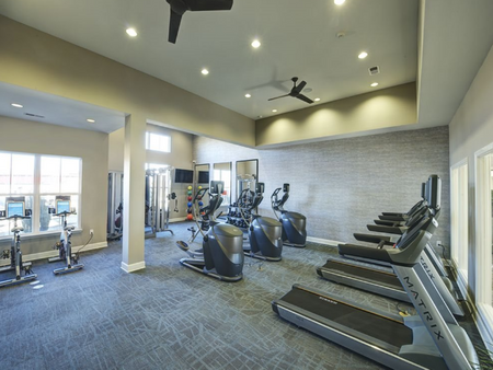 Fitness center showing treadmills, elliptical machines, exercise balls, cable weight machines, and upright bicycles.
