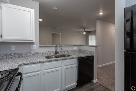 inside kitchen looking to living area. large cabinets, granite countertops, double sink