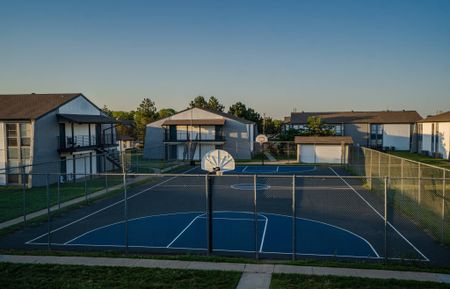 Basketball Court