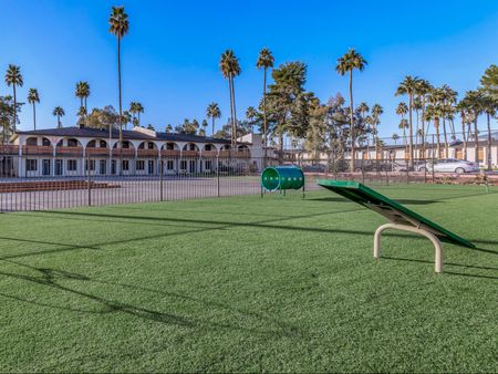 Lumina on 19th bark park