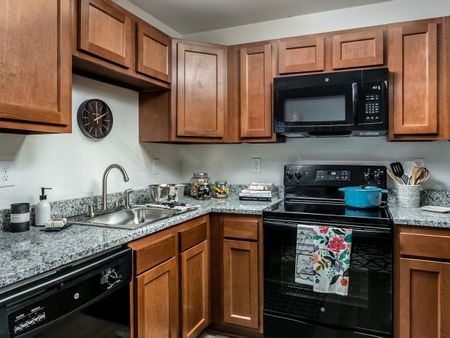 Designer Finishes in Kitchens at The Preserve at Tuscaloosa, student apartments near UA.