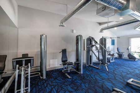 Cala Paradise Valley | Phoenix, AZ | Fully Equipped Fitness Center