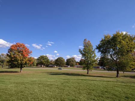 Steeplechase Village | Columbus, OH | Expansive Grounds