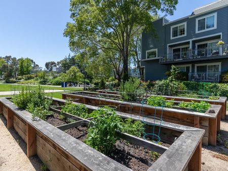 Garden boxes | Apartments in Larkspur, CA | Serenity at Larkspur