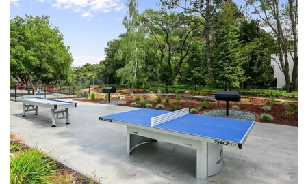 Ping pong | Creekwood | Apartments For Rent In Hayward CA