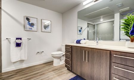 Spacious  Bathroom | Apartments in Hercules, CA | The Exchange Hercules Bayfront