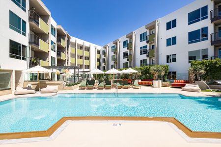 Pool | Brio Apartments | Apartments For Rent In Glendale CA