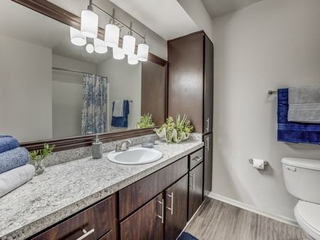 bathroom upgraded with modern finishes
