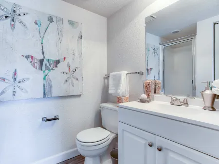 Spacious Bathroom | Cape Girardeau MO Apartment For Rent | The District at Cape