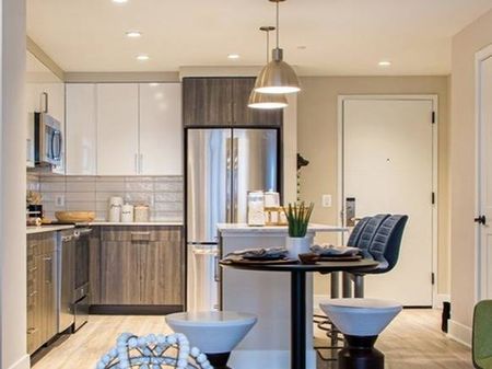 Designer Kitchen with Quartz Counter Tops, Stainless Steel Appliances and Wood-Style Flooring