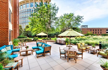 Courtyard With Grilling Stations | Meridian at Eisenhower Station | Alexandria VA Apartments