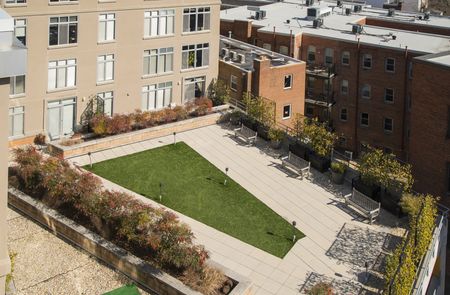 Beautifully Landscaped Grounds 1 | Apartments For Rent Washington DC | Park Triangle Apartments Lofts and Flats
