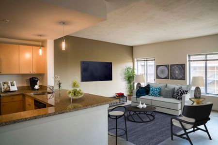 Elegant Living Room | Studio Apartments In Washington DC | Park Triangle Apartments Lofts and Flats