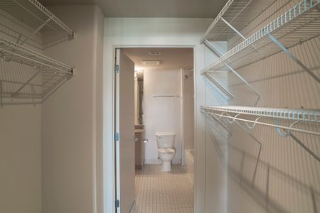 Spacious Closet | Washington DC Apartments | Park Triangle Apartments Lofts and Flats