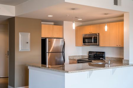 State-of-the-Art Kitchen | Park Triangle Apartments Lofts and Flats