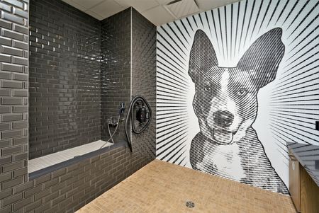 Image of the Pet Spa | Ovation at Arrowbrook | Affordable Herndon VA Apartments