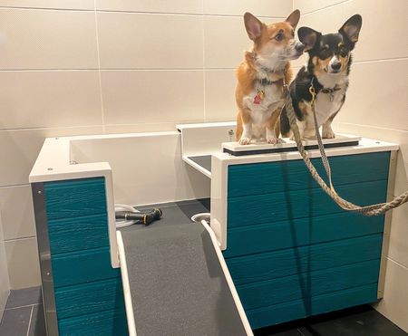 Pamper Your Canine Roommates in the Pet Spa Located in Phase I | Meridian on First | Navy Yard Apartments | Washington DC Apartments