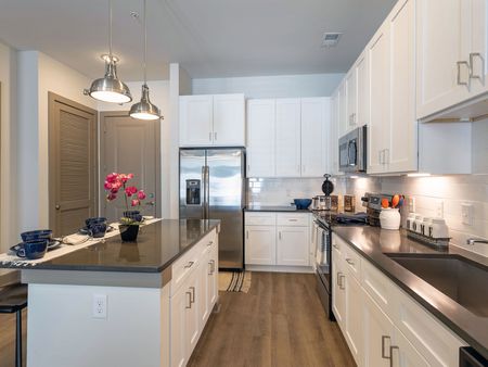2BR-2BA Modern Kitchen