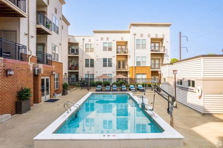 Sparkling Lap Pool