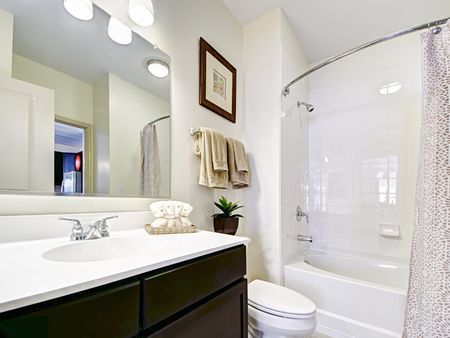 Luxurious Bathroom
