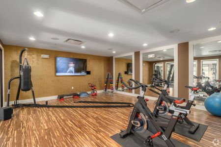 Relaxing Yoga Studio