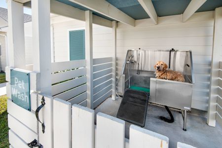 dog wash station