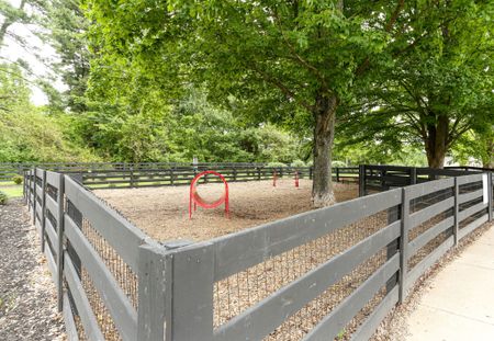 Dog Park