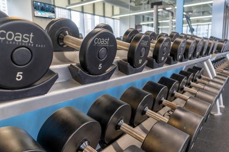Fitness center free weights