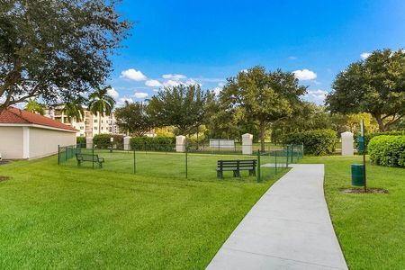Dog park