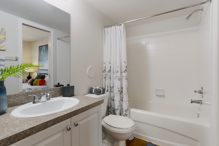 Model apartment bathroom