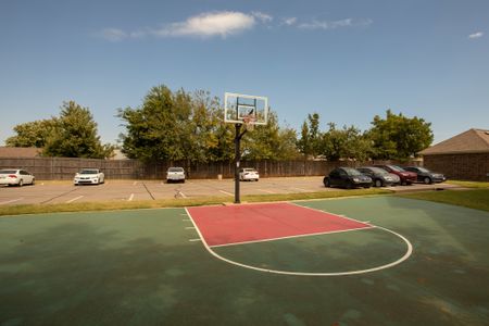 The Erica - Basketball Court