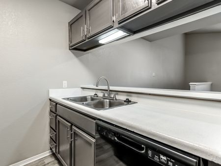 Kitchen Sink, Dishwasher, and Cabinetry Above