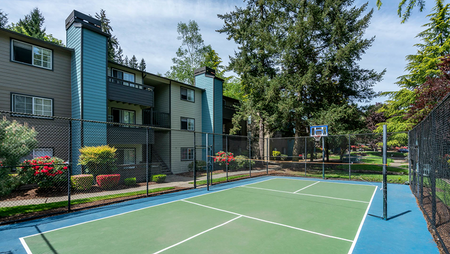 Outdoor Sport Court with Basketball Hoop