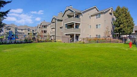 Dog Park and Run |  Apartments for Rent in Lakewood WA  |  Beaumont Grand