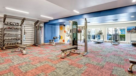 Fitness Center with Cardio and Strength Training Equipment