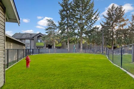 Dog Park | Apartments For Rent In Lakewood Washington | Beaumont Grand Apartment Homes