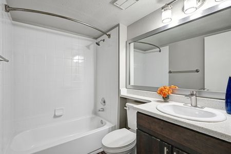 Spacious Bathroom | Apartments In Littleton CO | Summit Riverside  Apartments
