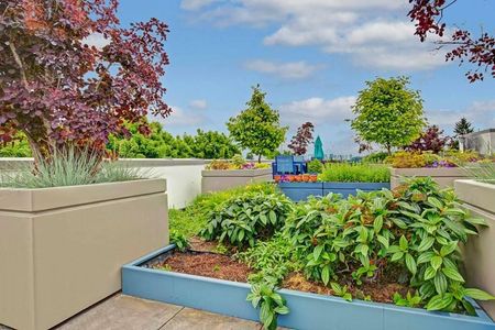 Rooftop Garden | The Noble