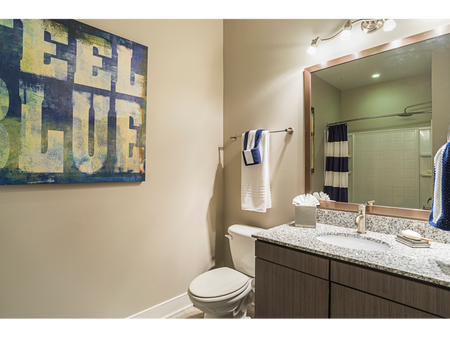 Model Apartment Bathroom