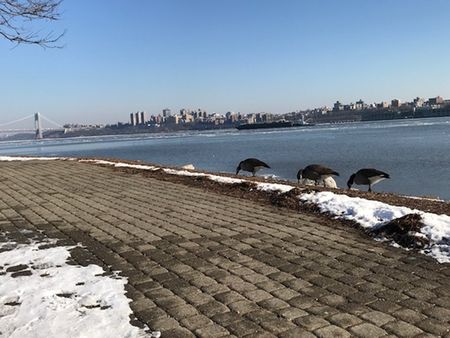 Hudson River Walk