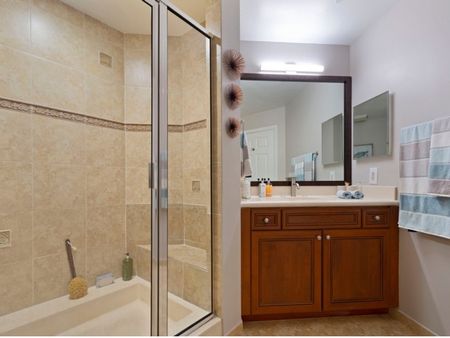 Bathroom with walk-in shower with bench, cabinets, sink, and mirror