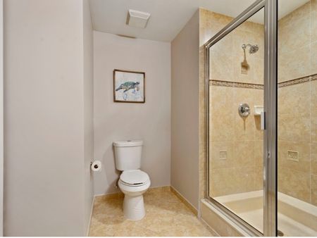 Bathroom with walk-in shower and toilet